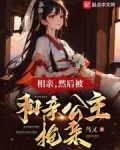 相亲,然后被和亲公主抢亲