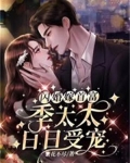 闪婚嫁首富,季太太日日受宠