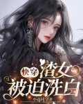 渣女的快穿小说