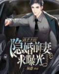 高手下山:隐婚前妻求曝光