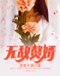 无敌赘婿