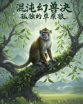 混沌兽进阶造型