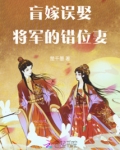 盲嫁误娶,将军的错位妻