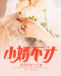 小婿不才