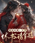 宠妾灭妻:王爷,休书请拿稳