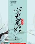 四爷的心尖宠妃
