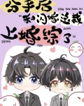 分手后和闪婚总裁上婚综了
