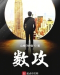 数攻