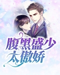 腹黑盛少太傲娇