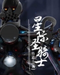 星际圣骑士