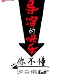导演的快乐你不懂