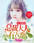 天才娇妻:总裁大人有点甜
