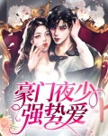 豪门夜少强势爱