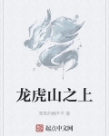 龙虎山之上