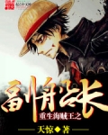 重生海贼王之副船长