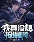 我真没想捡漏啊