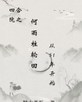 四合院之何雨柱轮回从51年开始