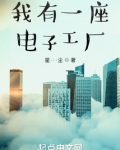 我有一座电子工厂
