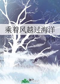 乘着风越过海洋全文免费阅读
