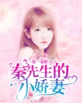 第一宠婚:秦先生的小娇妻