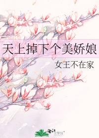 天上掉下个美娇娘