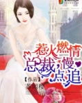 总裁慢点追