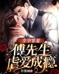 幸孕罪妻:傅先生虐爱成瘾