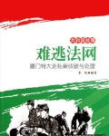 难逃法网：厦门特大走私案侦破与处理