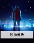 战神婿传