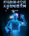 开局扮演司空震，天帝怒吼燃全网