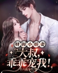 财阀小娇妻:大叔,乖乖宠我!
