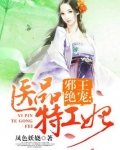 邪王绝宠:医品特工妃