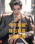 中年离婚,赌石暴富,前妻后悔