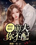 婚情绵绵:前夫你不配