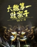 大魏第一败家子