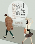 你原来是这样的叶先生