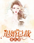 退婚总裁来认错