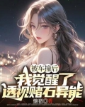 被车撞后,我觉醒了透视赌石异能