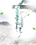 贵妻临门:夫君求和离