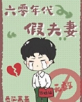 六零年代假夫妻