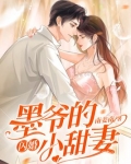 墨爷的闪婚小甜妻