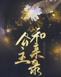 公主和亲录