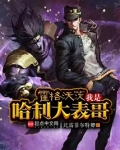 霍格沃茨:我是哈利大表哥