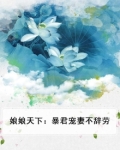 娘娘天下:暴君宠妻不辞劳