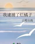 我逮捕了烂橘子