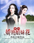 我的娇艳姐妹花