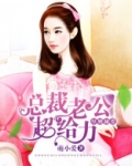 总裁老公超给力