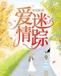 爱情迷踪