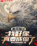 唯我独法:我好像真要成仙了