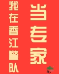 我在香江警队当专家